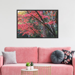 Rote Ahornblätter an Baum Botanisch Leinwanddruck