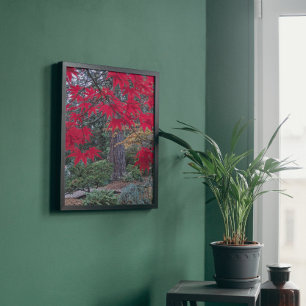 Rote Ahornblätter in einem japanischen Garten Fotodruck