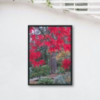Rote Ahornblätter in einem japanischen Garten