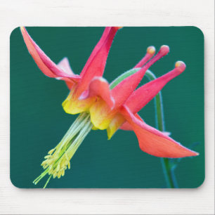 Rote Akelei Mousepad