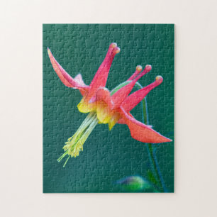 Rote Akelei Puzzle