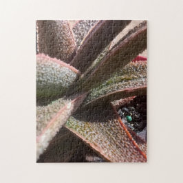 rote Aloe der saftigen Pflanze 11" x 14" PC 252 Puzzle