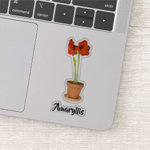 Rote Amaryllis Blumenfotografie-Ausschneiden Aufkleber