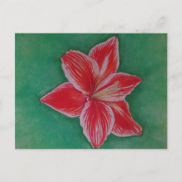 Rote Amaryllis Feiertagspostkarte