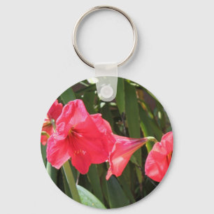 Rote Amaryllis Schlüsselanhänger