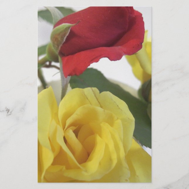 Rote Ameise Gelbe Rosen Briefpapier (Vorderseite)