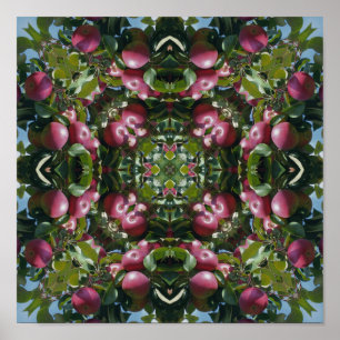Rote Äpfel am Baum Natur Kunst abstrakt Poster