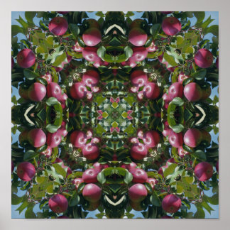 Rote Äpfel am Baum Natur Kunst abstrakt Poster
