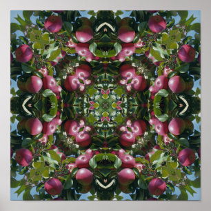 Rote Äpfel am Baum Natur Kunst abstrakt Poster