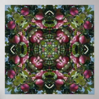 Rote Äpfel am Baum Natur Kunst abstrakt Poster