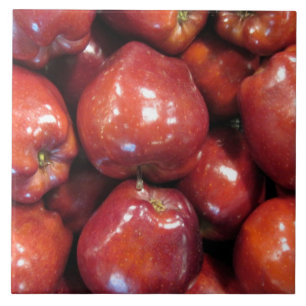 Rote Äpfel Große (6" x 6") Keramik Foto Tile Fliese