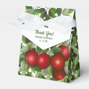 Rote Äpfel Hochzeit   Danke Geschenkschachtel