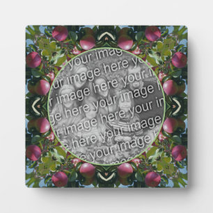 Rote Äpfel Naturkunst Neues Foto Fotoplatte