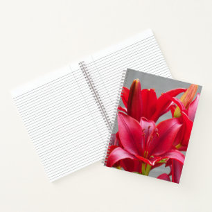Rote asiatische Lilien Blumen Notizbuch