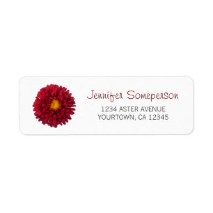 Rote Aster