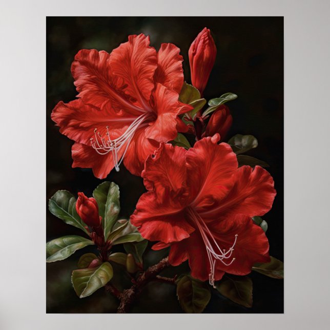 Rote Azalea Blume Art Print Poster (Vorne)