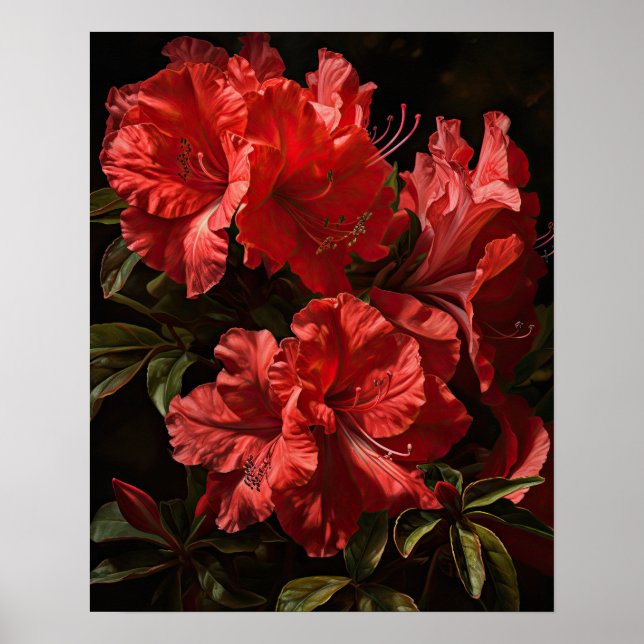 Rote Azalea Blume Art Print Poster (Vorne)