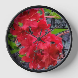 Rote Azalea Blume Uhr