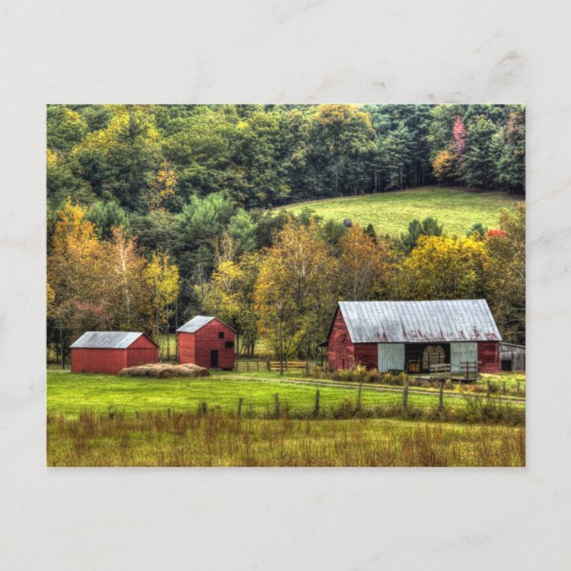 Rote Barnen Herbst Virginia Landschaft Postkarte (Vorderseite)