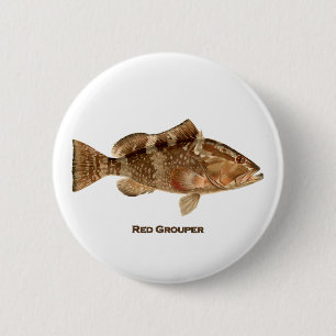 Rote Barsch-Fische Button