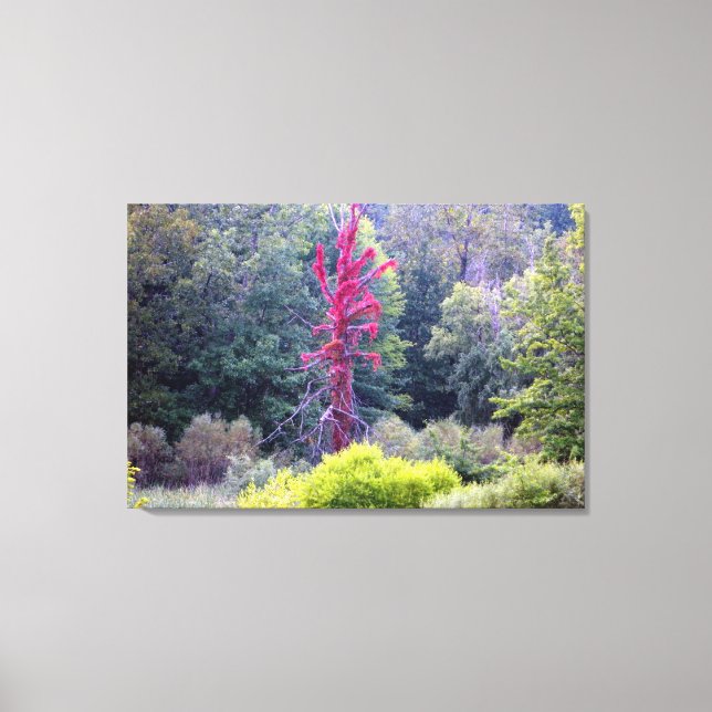 Rote Baumlandschaft Szene (Wrapped Canvas Print) Leinwanddruck (Vorderseite)
