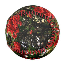 Rote Beeren Baseball