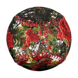 Rote Beeren Baseball