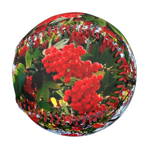 Rote Beeren Baseball