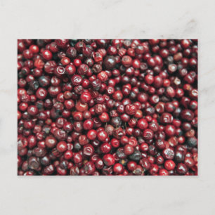 Rote Beeren des Himalaja Postkarte