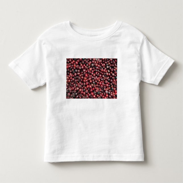 Rote Beeren des Himalaya Kleinkind T-shirt (Vorderseite)