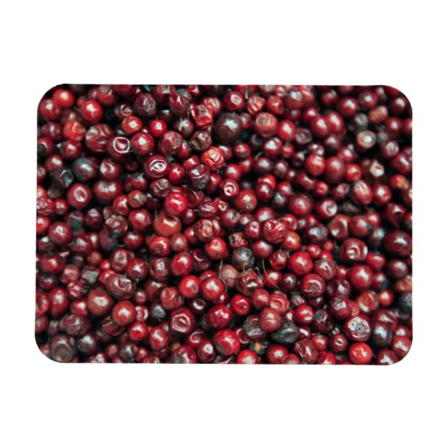 Rote Beeren des Himalaya Magnet (Horizontal)