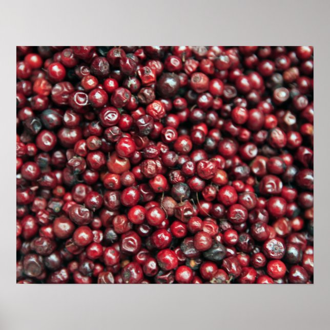 Rote Beeren des Himalaya Poster (Vorne)
