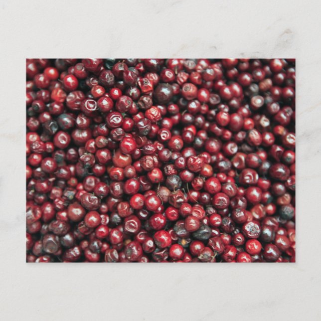 Rote Beeren des Himalaya Postkarte (Vorderseite)