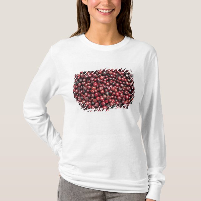 Rote Beeren des Himalaya T-Shirt (Vorderseite)