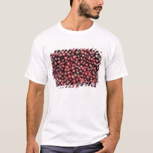 Rote Beeren des Himalaya T-Shirt