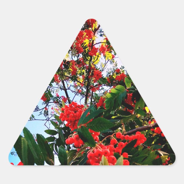 Rote Beeren Dreieckiger Aufkleber (Vorderseite)