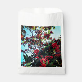 Rote Beeren Geschenktütchen