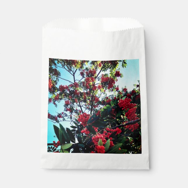 Rote Beeren Geschenktütchen (Vorderseite)