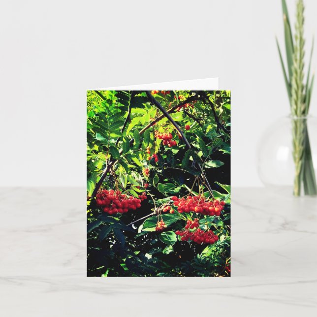 Rote Beeren Karte (Vorderseite)