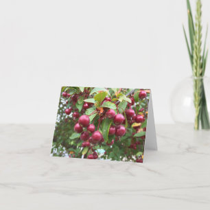 rote Beeren Karte