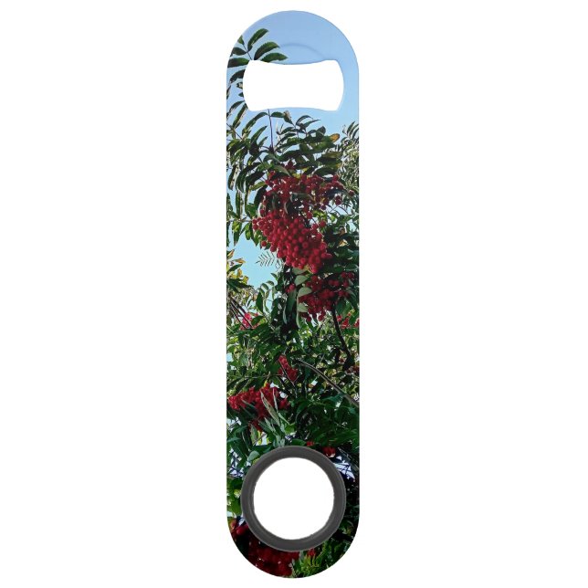 Rote Beeren mit dunkelgrünen Blätter Speed Flaschenöffner (Vorderseite)
