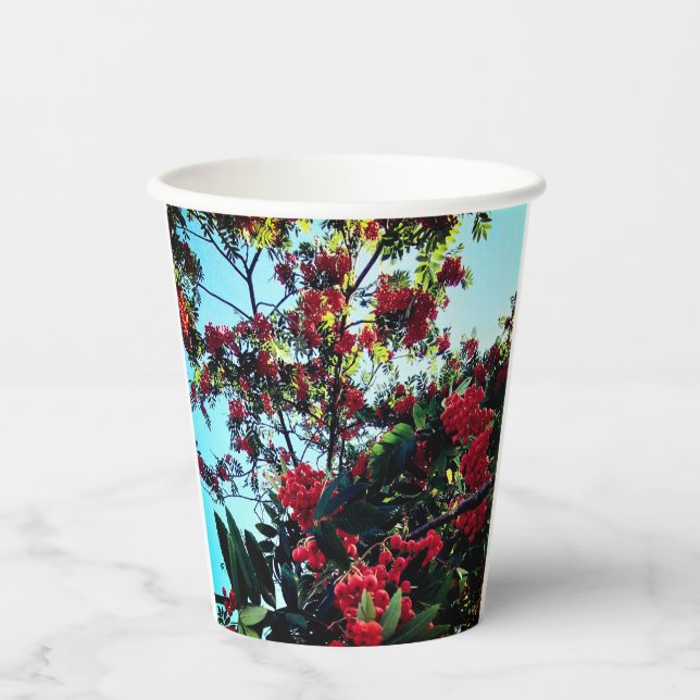 Rote Beeren Pappbecher (Vorderseite)