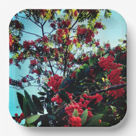 Rote Beeren Pappteller