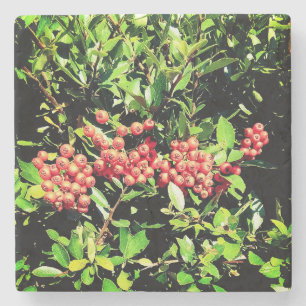Rote Beeren Steinuntersetzer
