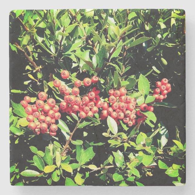 Rote Beeren Steinuntersetzer (Vorderseite)