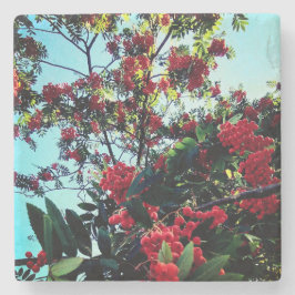 Rote Beeren Steinuntersetzer