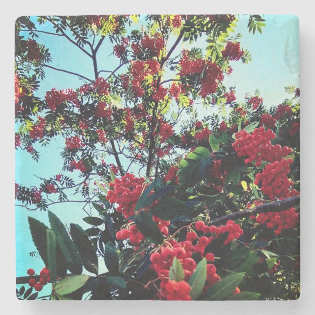 Rote Beeren Steinuntersetzer (Vorderseite)