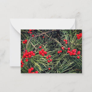 Rote Beeren Tannennadeln Weihnachten Mitteilungskarte