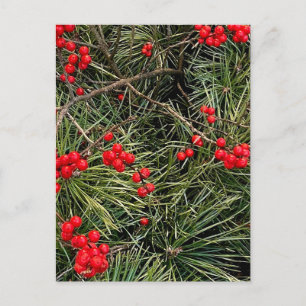 Rote Beeren Tannennadeln Weihnachten Postkarte