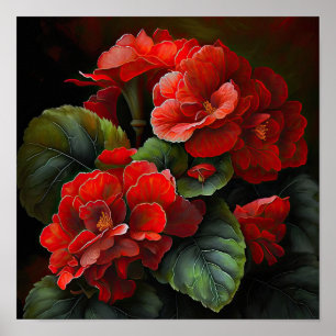 Rote Begonias Blume Art Print Poster